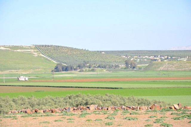 Hatay’a ‘Zeytin Dalı Sınır Kapısı’