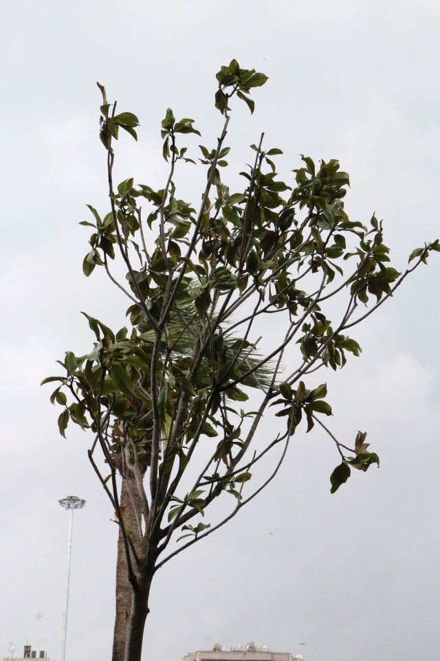 HBB Çevre Ve İnsan Sağlığı Duyarlılığı İle Takdir Topluyor