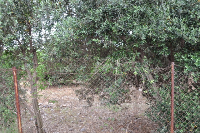 Hatay’da Bir Kişi Silahla Vurularak Öldürülmüş Halde Bulundu