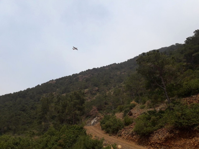 Hatay’da Orman Yangını Söndürme Çalışmaları 4 Gündür Sürüyor