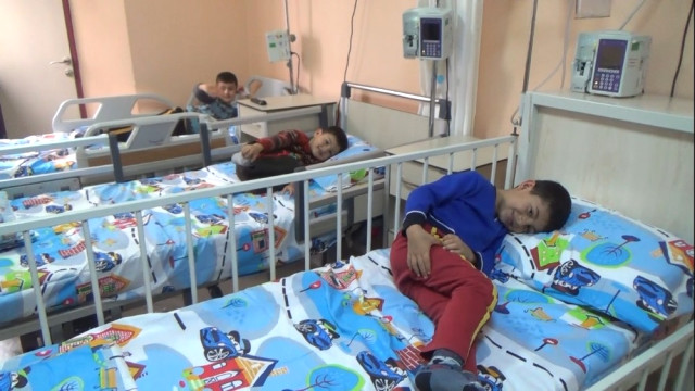 Hatay’da 15 Kişi Mantardan Zehirlendi