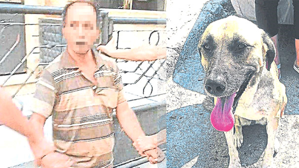Sokak köpeği yakalattı! O sapığın cezası belli oldu