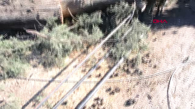 Hatay Kırıkhan’da Devrilen Ağaçlar, Hasara Yol Açtı