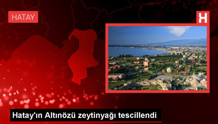 Altınözü Zeytinyağı Coğrafik İşaretli Eser Olarak Tescillendi