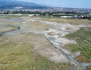 Hatay’daki Milleyha Kuş Cenneti Moloz ve Çöp Yığınlarıyla Doluyor