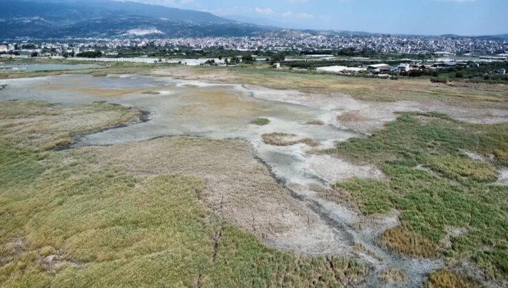 Hatay’daki Milleyha Kuş Cenneti Moloz ve Çöp Yığınlarıyla Doluyor