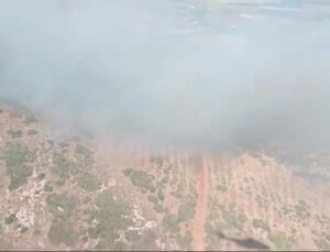 Hatay’ın Antakya ilçesinde orman yangını çıktı