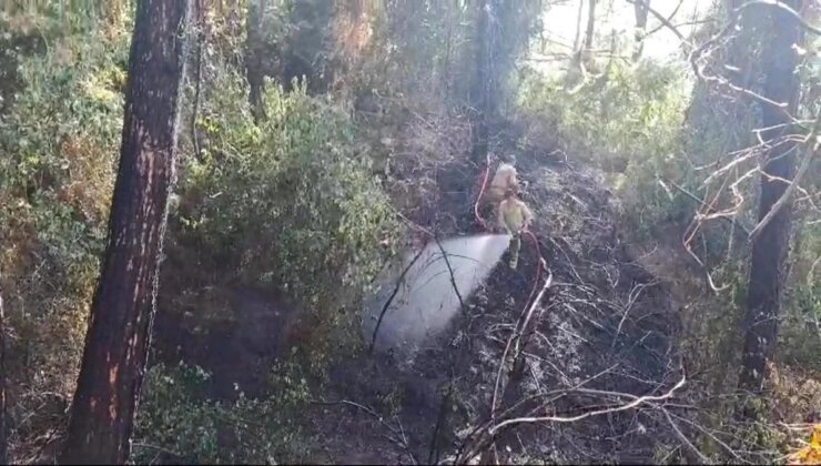 Hatay’ın Dörtyol ilçesinde orman yangını denetim altına alındı