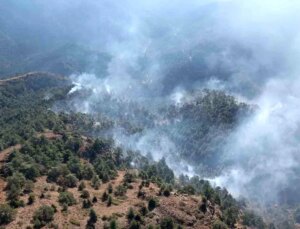 Antakya’da gece başlayan orman yangını denetim altına alındı