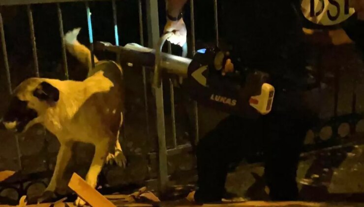 Demir korkuluklara sıkışan köpek itfaiye tarafından kurtarıldı