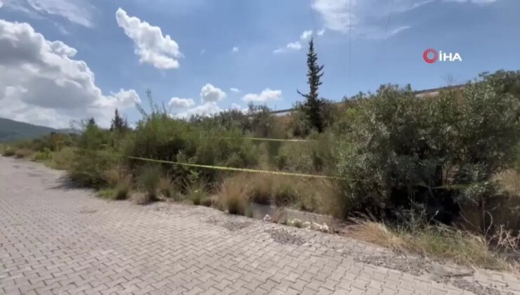 Sopayla döverek öldürülen bayanın oğlu İHA’ya konuştu