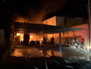 Hatay’da Lastikçide Yangın: Kurtarma Takımları Süratle Müdahale Etti