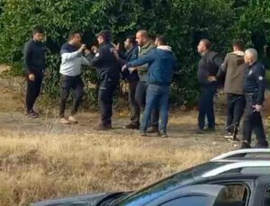 Hatay’da Narenciye Satışı Hengame Çıkardı