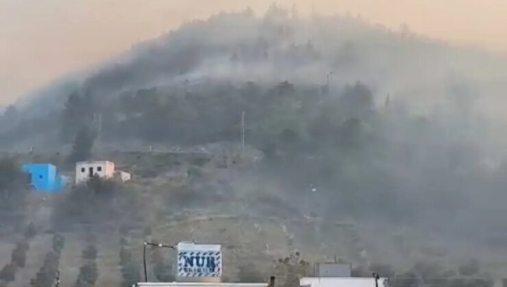 Hatay’da Orman Yangını: Konutlar Tahliye Edildi