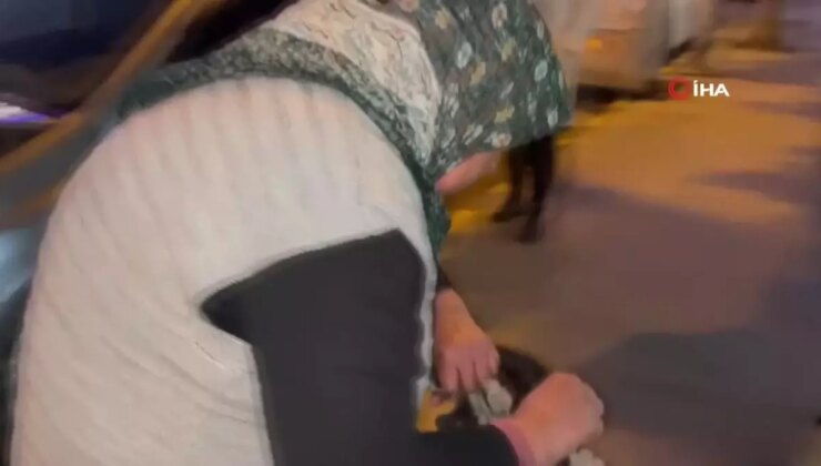 Yaşlı Bayanın Şefkati: Araç Motorundan Kurtarılan Yavru Kedi