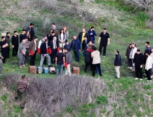 Hatay’da tedavileri tamamlanan kuşlar tabiata salındı