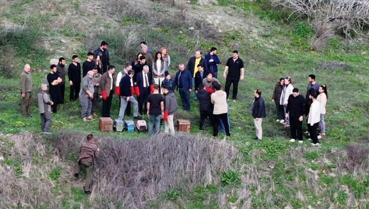 Hatay’da tedavileri tamamlanan kuşlar tabiata salındı