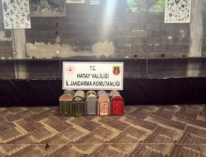 Süs Kanatlı Sokak Hayvanları Müdafaa Derneği’nde horoz dövüştürerek kumar oynayan 76 şahsa ceza yağdı