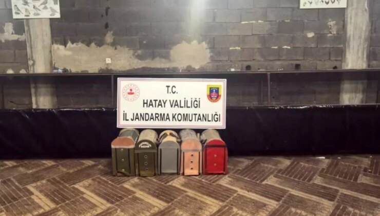 Süs Kanatlı Sokak Hayvanları Müdafaa Derneği’nde horoz dövüştürerek kumar oynayan 76 şahsa ceza yağdı