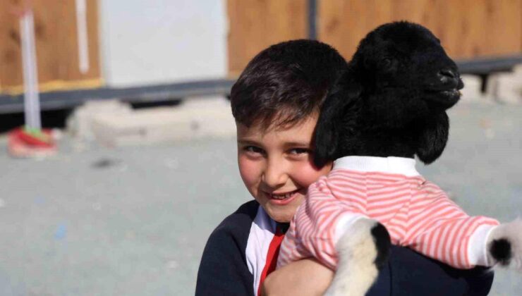 Annesi doğumda telef olan ‘Boncuk’ kuzu, elbisesi ve biberonuyla ilgi odağı oldu