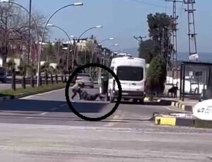 Endişe dolu anlar kamerada: Yere yatırdığı minibüs sürücüsünü tekraren yumrukladı
