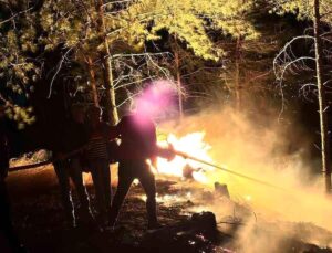 Hatay’da ormanlık alanda çıkan yangın büyümeden söndürüldü