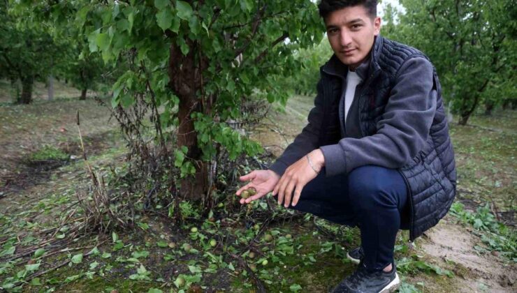 Çevreyi beyaza bürüyen fındık büyüklüğündeki dolu tarım yerlerini vurdu