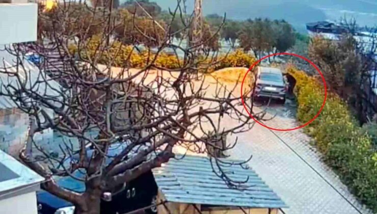 Park halindeki arabası akaryakıt döküp yakan, araç sahibinin yeğeni çıktı