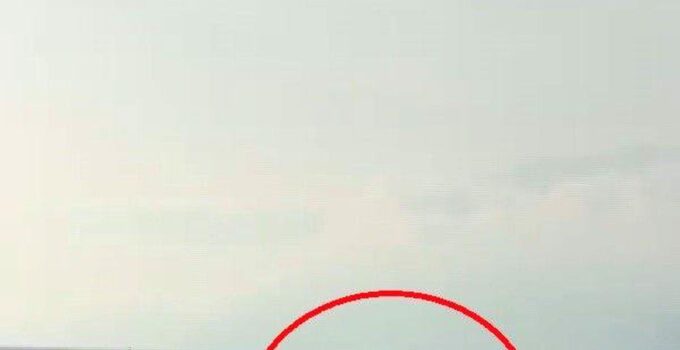 Akdeniz açıklarında balıkçı teknesini selamlayan yunuslar görüntülendi