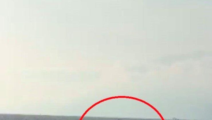 Akdeniz açıklarında balıkçı teknesini selamlayan yunuslar görüntülendi