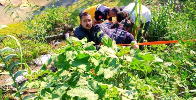 Antakya’da dereye uçan motosikletin şoförü yaralandı