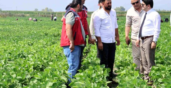 Arsuz’da soya ekimi yapıldı