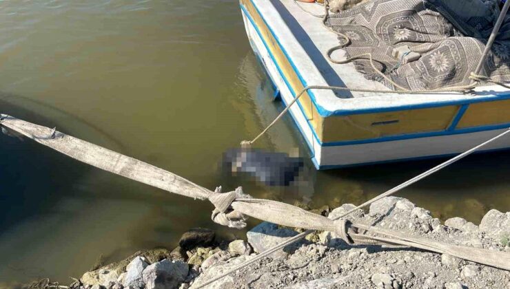 Asi Irmağı’nda erkek cesedi bulundu