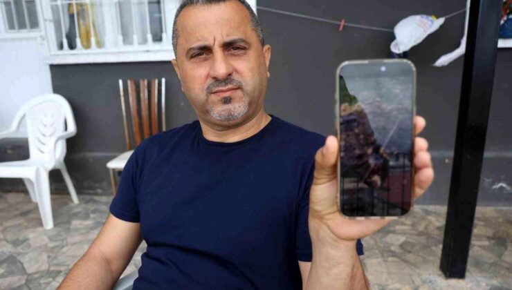 Çukura düşen dikenli kirpiyi kurtaran doğaseverin yürek ısıtan düzgünlüğü toplumsal medyada ilgi odağı oldu