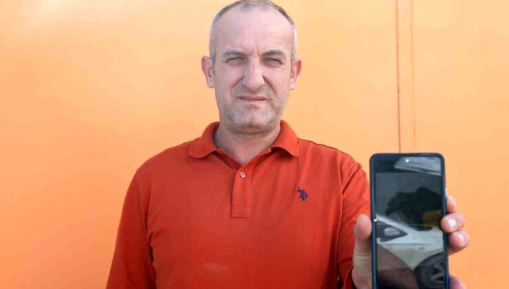 Devriye attığı esnada binaya çarpan yaralı şahini kurtardı