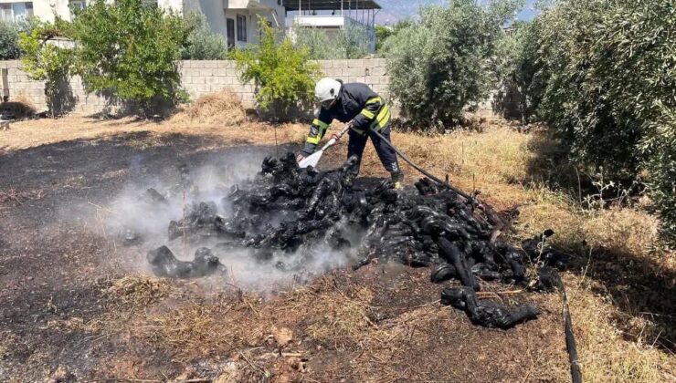 Hassa’da bahçe yangını