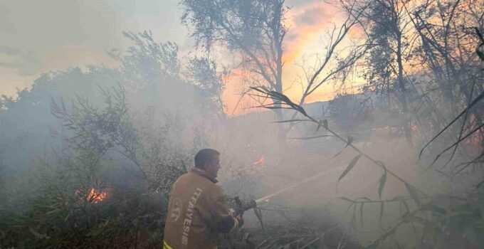 Hatay’da anız yangını büyümeden söndürüldü