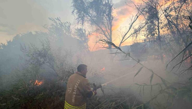 Hatay’da anız yangını büyümeden söndürüldü