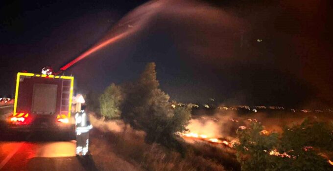 Hatay’da anız yangını zeytinliğe sıçradı: 200 dönüm arazi ziyan gördü