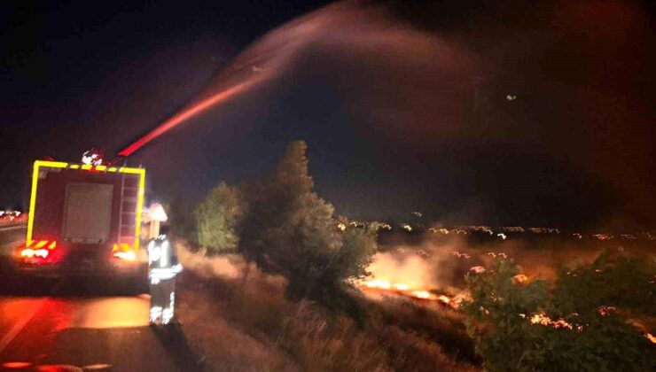 Hatay’da anız yangını zeytinliğe sıçradı: 200 dönüm arazi ziyan gördü