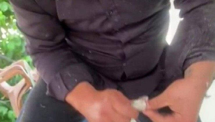 Klima ünitesinin boru çizgisinde yakaladığı yılanı “Sevgili yılan insanlardan uzak dur, yoksa ne yaparlar biliyorsun” diyerek tabiata saldı