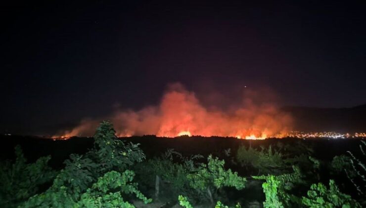 Hassa’da otluk alandan alevler yükseldi