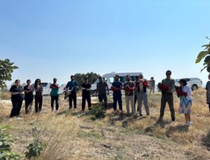 Hatay’da yaralı ve yorgun bulunan 18 kuş tedavilerinin akabinde tabiata salındı
