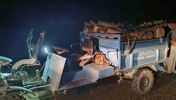 Antakya’da Ormanda Adapsız Kesim Yapan Şahıslar Yakalandı