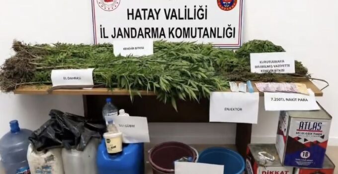 Hatay’da Uyuşturucu Operasyonu: 144 Kök Kenevir ve 650 Gram Kubar Ele Geçirildi