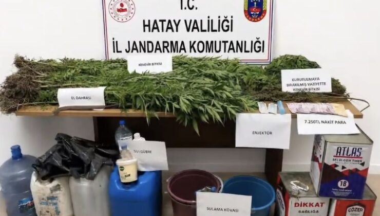 Hatay’da Uyuşturucu Operasyonu: 144 Kök Kenevir ve 650 Gram Kubar Ele Geçirildi